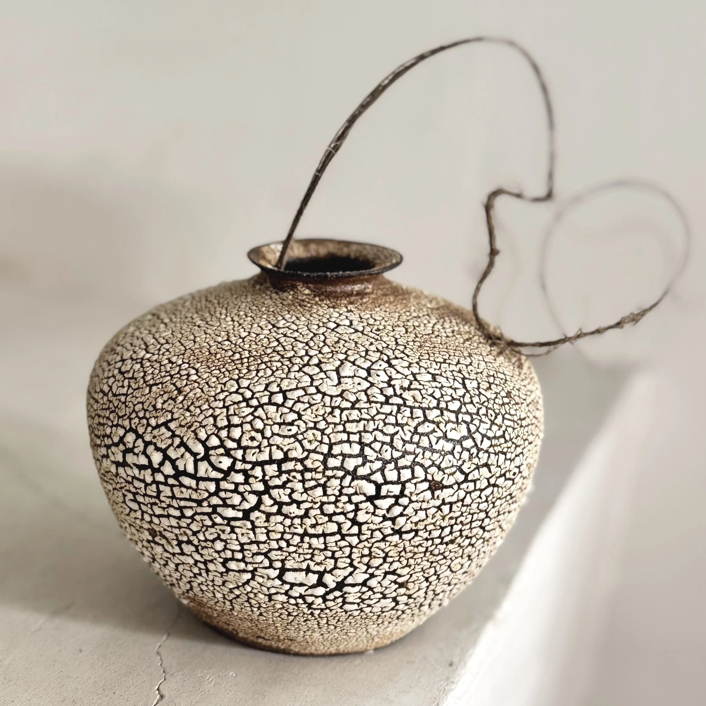 shop — D:CERAMICS